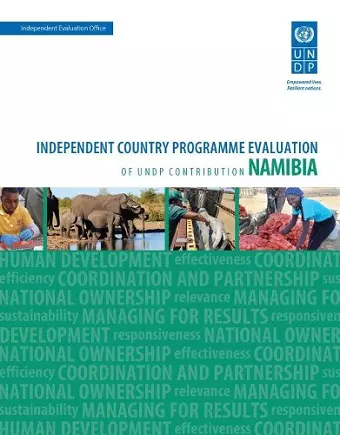 Assessment of development results - Namibia cover