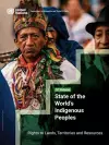 State of the world's indigenous peoples cover