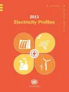 2013 electricity profiles cover