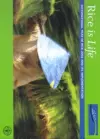 Rice is Life, International Year of Rice 2004 and Its Implementation cover