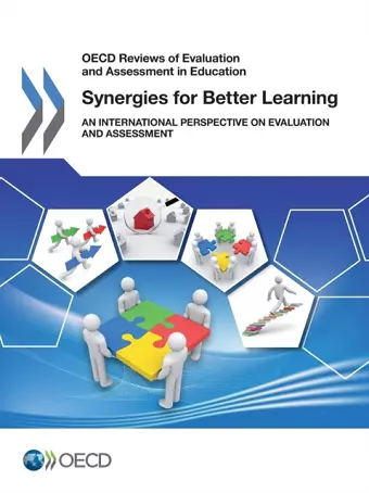Synergies for better learning cover