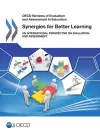 Synergies for better learning cover