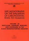 Beryllium, Cadmium, Mercury, and exposures in the glass manufacturing industry cover