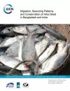 Migration, Spawning Patterns and Conservation of Hilsa Shad in Bangladesh and India cover