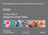 Single Surgical Procedures in Obstetrics and Gynaecology - Volume 1 - VULVA cover