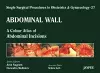 Single Surgical Procedures in Obstetrics and Gynaecology - Volume 27 - Abdominal Wall cover