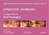 Single Surgical Procedures in Obstetrics and Gynaecology - 33 - Congenital Anomalies: A Colour Atlas of Ileal Neovagina cover