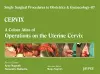 Single Surgical Procedures in Obstetrics and Gynaecology - Volume 7 - CERVIX - A Colour Atlas of Operations on the Uterine Cervix cover