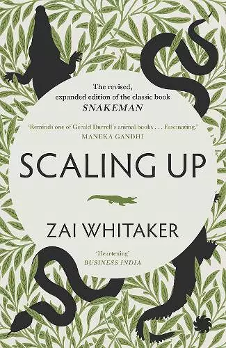 Scaling Up cover