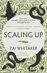 Scaling Up cover