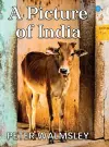 A Picture Of India cover