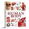 Knowledge Encyclopedia cover