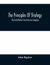 The Principles Of Strategy cover