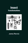 Insect Transformations cover