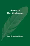 Aaron in the Wildwoods cover