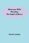 Adventures While Preaching The Gospel Of Beauty cover