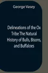 Delineations Of The Ox Tribe The Natural History Of Bulls, Bisons, And Buffaloes. Exhibiting All The Known Species And The More Remarkable Varieties Of The Genus Bos. cover