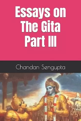 Essays on The Gita Part III cover