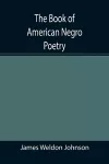 The Book of American Negro Poetry cover