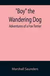 Boy the Wandering Dog cover