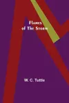 Flames of the Storm cover