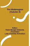 The Mabinogion (Volume 3) cover