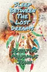 Sleep Between The Lost Dreams cover