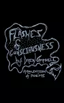 Flashes of Consciousness cover