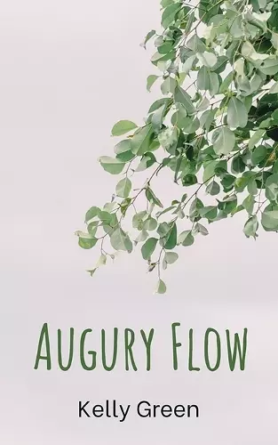 Augury Flow cover