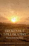 Broken but Still Beating cover