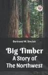 Big Timber A Story Of The Northwest cover