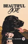 Beautiful Joe cover