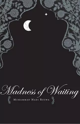 The Madness of Waiting cover