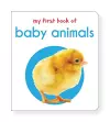 My First Book of Baby Animals cover