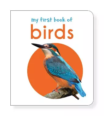 My First Book of Birds cover