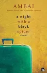 A Night with a Black Spider cover