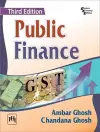 Public Finance cover