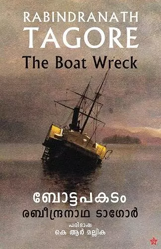 Boat apakadam cover