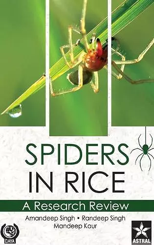 Spiders in Rice cover