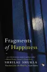 Fragments of Happiness cover