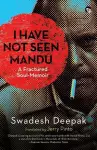 I Have Not Seen Mandu a Fractured Soul-Memoir cover