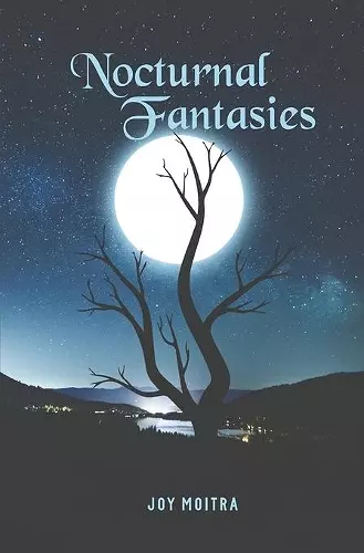 Nocturnal Fantasies cover