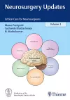 Neurosurgery Updates, Vol. 3 cover
