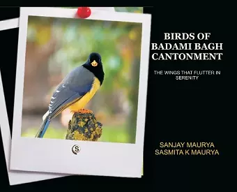 Birds of Badami Bagh Cantonment cover