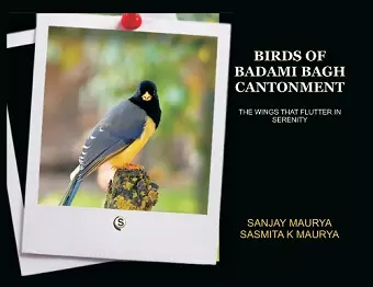 Birds of Badami Bagh Cantonment cover