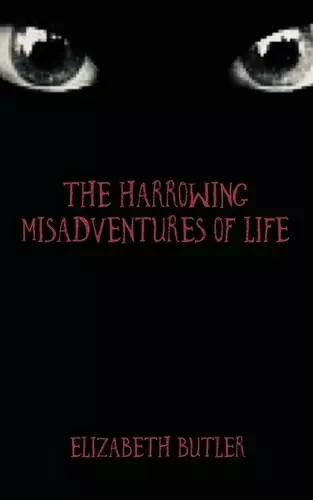 The Harrowing Misadventures Of Life cover