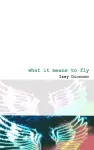 What It Means To Fly cover