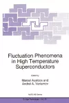 Fluctuation Phenomena in High Temperature Superconductors cover