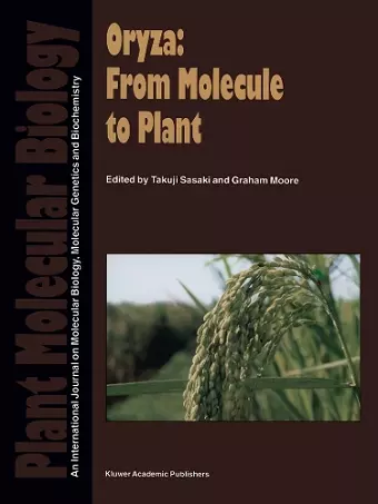 Oryza: From Molecule to Plant cover