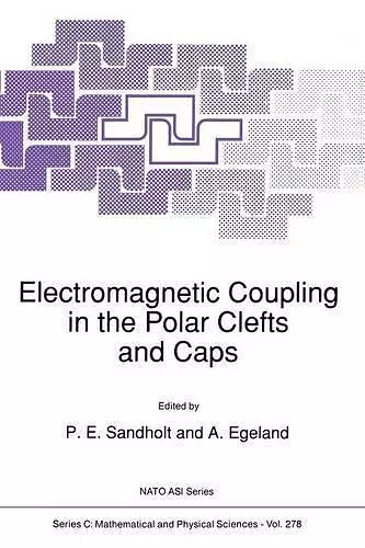 Electromagnetic Coupling in the Polar Clefts and Caps cover
